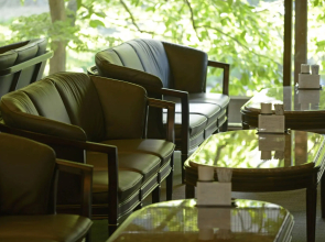 Kamimokuonsen Tatsumikan