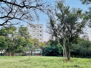 Truelife Whitefield