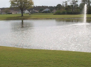 Ventura Resort Rentals Orlando