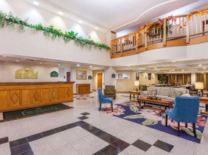 Spark by Hilton Winchester