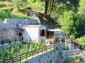 Tenuta Bosco