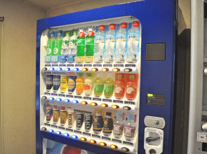 Myoko Sunshine Hotel