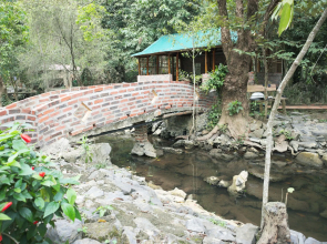 Long Phuong Homestay