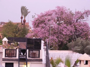 Riad Manissa