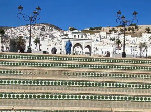 Lilac's Garden Cabo Negro