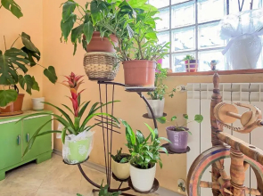 Eva House with Apartment