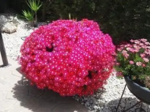 Sofros Valley Hills Chalet