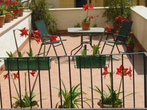 Il Giglio Rosso