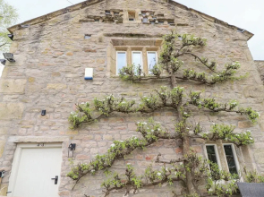 Pear Tree Cottage at Hey Farm