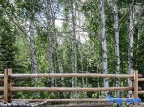 Shen Qiu Homestay