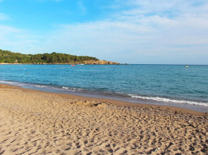 Gardenia Beach Hotel - All Inclusive