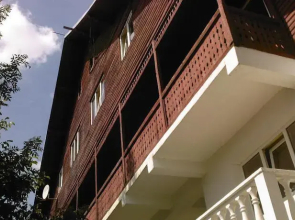 Vila Poienita
