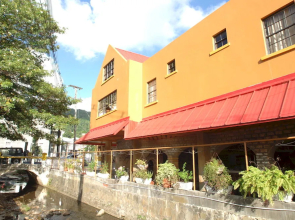 Heron at Bridgehouse