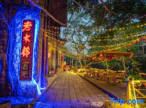 Guangyue Shang Collection
