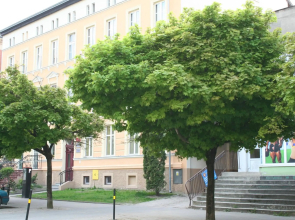 Apartament Centrum 3 Pokojowy