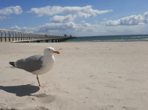 Fewo Bernhardt " App.1 "