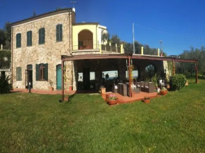 Lo Stregatto