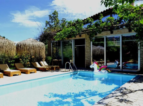 Turdus Merula Retreat