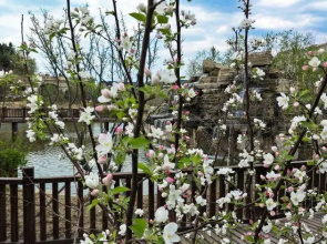 Guoxin Nanshan Hot Spring Holiday Hostel