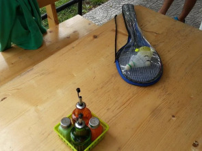 Guest House Zeleni Preslap