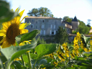 Gite Chateau de Sers