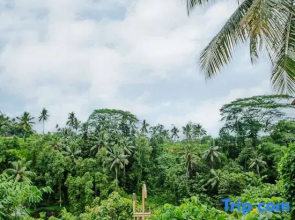 Villa Cella Bella : Jewel Suite ( Bali instaworthy villa )