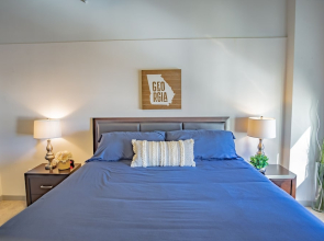 Furnished Apt near Fox Theatre