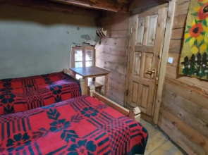 Guesthouse Tushetian Tower