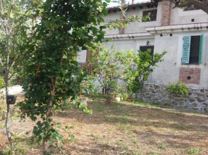 Il Pino Holiday Home