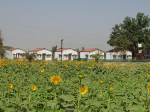 Living Green Farms