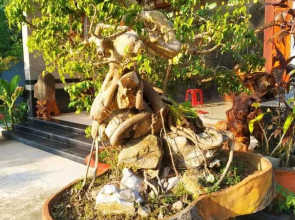 Lang Chai Homestay