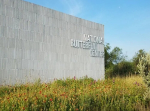 Charming Studios Mission TX