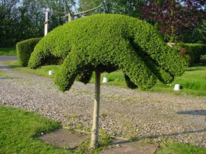 Acreland Green Bed And Breakfast