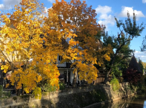 Riverside apartment in central Herzogenaurach