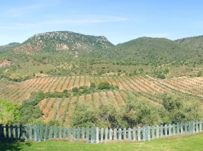 House With 2 Bedrooms in Puerto Serrano, With Wonderful Mountain View,