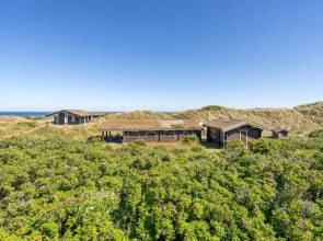 "Swenja" - 680m from the sea in NW Jutland
