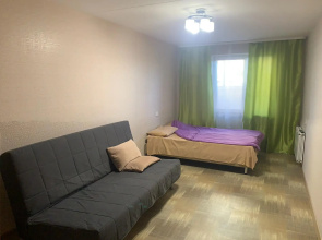 Apartments in the Kamenny Tsvet microdistrict