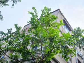 Quest Home Kalikapur Kolkata by Goroomgo