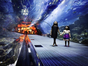 Отель Ibis Mall Avenue Dubai