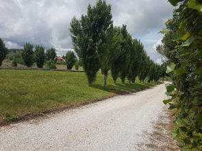 Villa Bice Agriturismo
