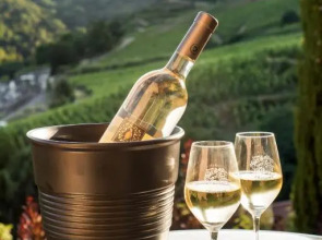 Wine Passion Panoramic