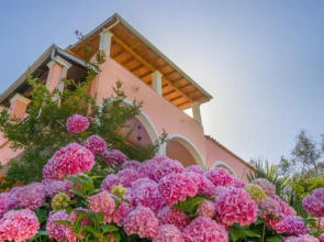 Evergreen Apartments