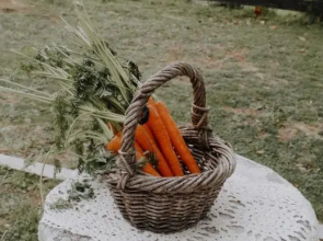 Thistle and Pine Cottage Farmstay
