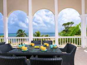 Lawson Rock Angelfish 202