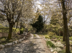 B&B Il Mirtillo