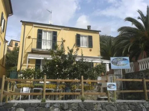 Cicale Di Mare