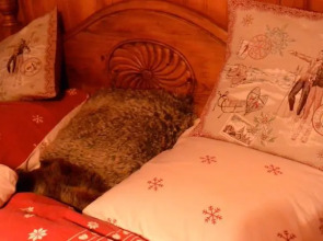 BnB Altitude Attitude