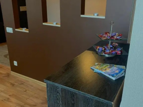 Cozy 1-bedroom apartment in the city centre.