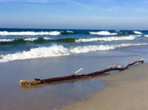 Гостевой дом Рай Пруссии