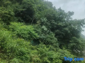Yunqi Yayuan Homestay